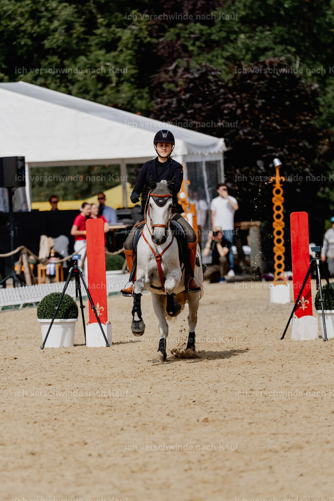 Svea13FHC2025-2884 | working equitationturnier fotograf videograf stoibphotography marixx film working equitation deutschland reitsport turnierfotografie eventfotografie equestrian events