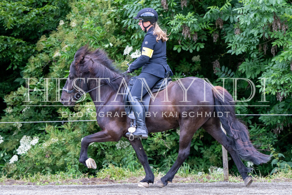 KAI09891 | Ihr sucht einen Fotografen für eure nächste OSI? Ich begleite auch euer Turnier für Islandpferde fotografisch.  - Realisiert mit Pictrs.com