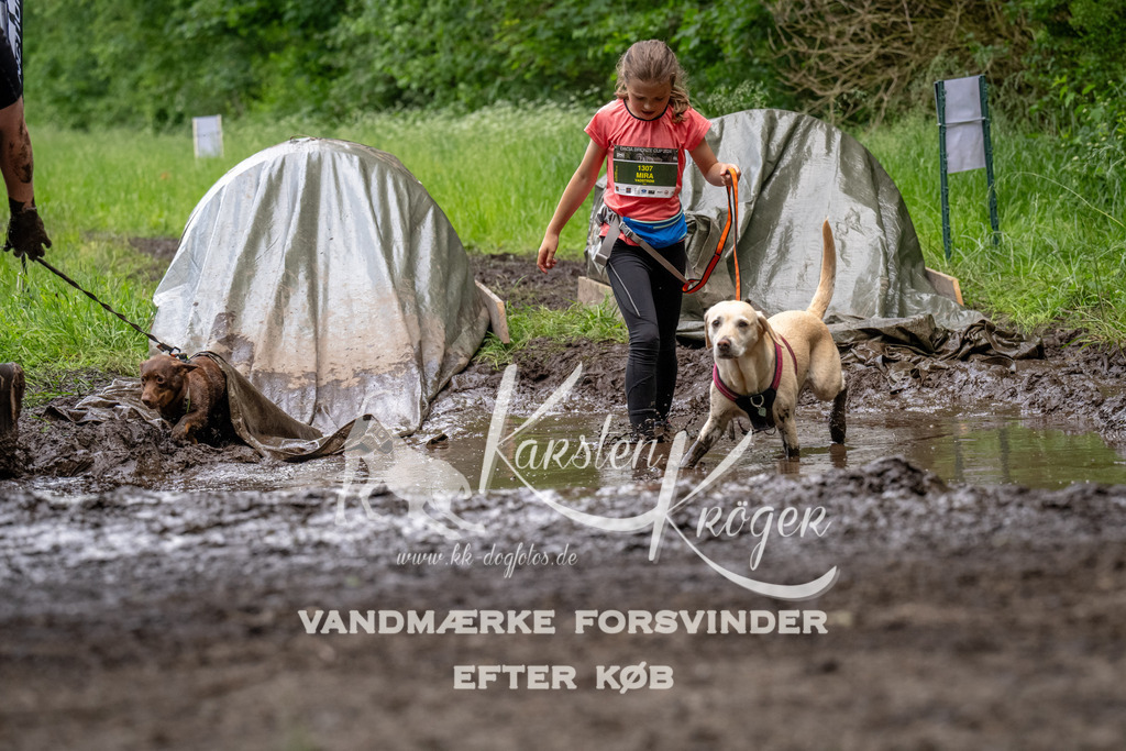 1530_ZZ93942 | kk-dogfotos