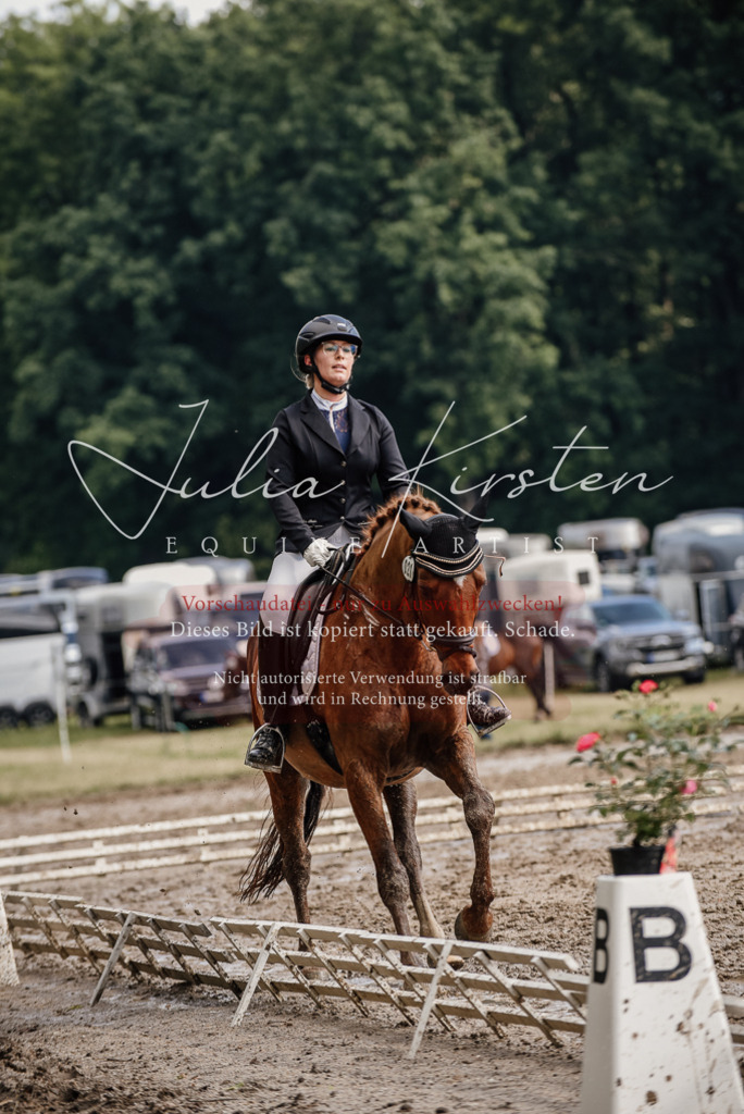 DSC_8964 | Pferde- und Turnierfotografie in Westsachsen. Pferdeportraits, Auftragszeichnungen und intuitive Kunst.