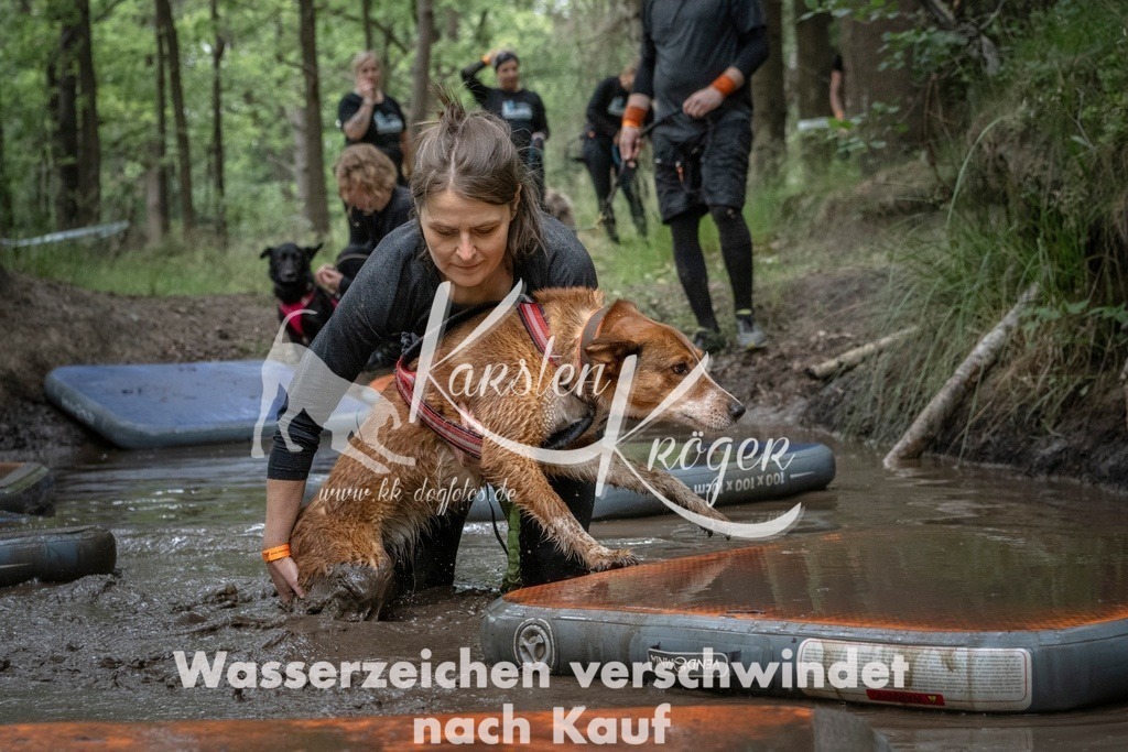 1221_ZZ98659T | kk-dogfotos