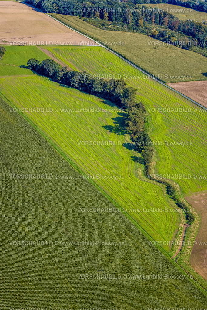 Arnsberg230904369 | Luftbild, Waldstück in Schlangenform, NSG Moosfelder Ohl, Höingen, Ense, Sauerland, Nordrhein-Westfalen, Deutschland