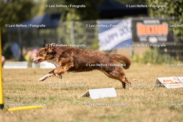 _DSC6900 | levihelfersfotografie