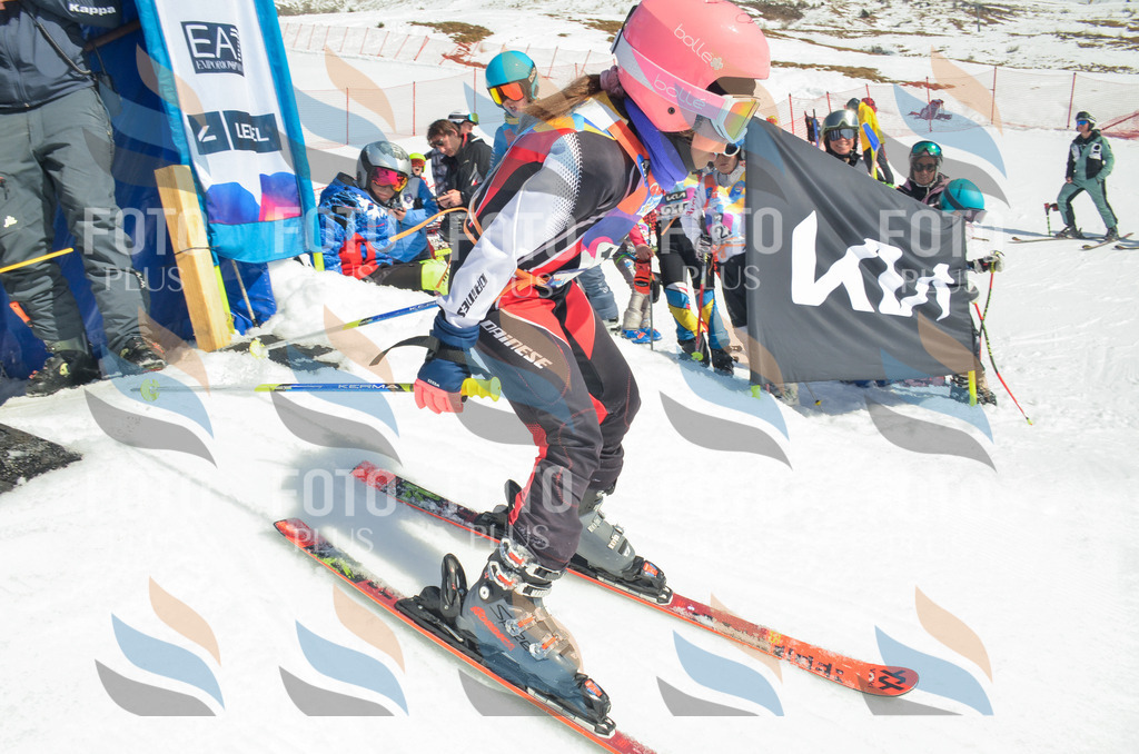 _ELE5817 | holidayphoto