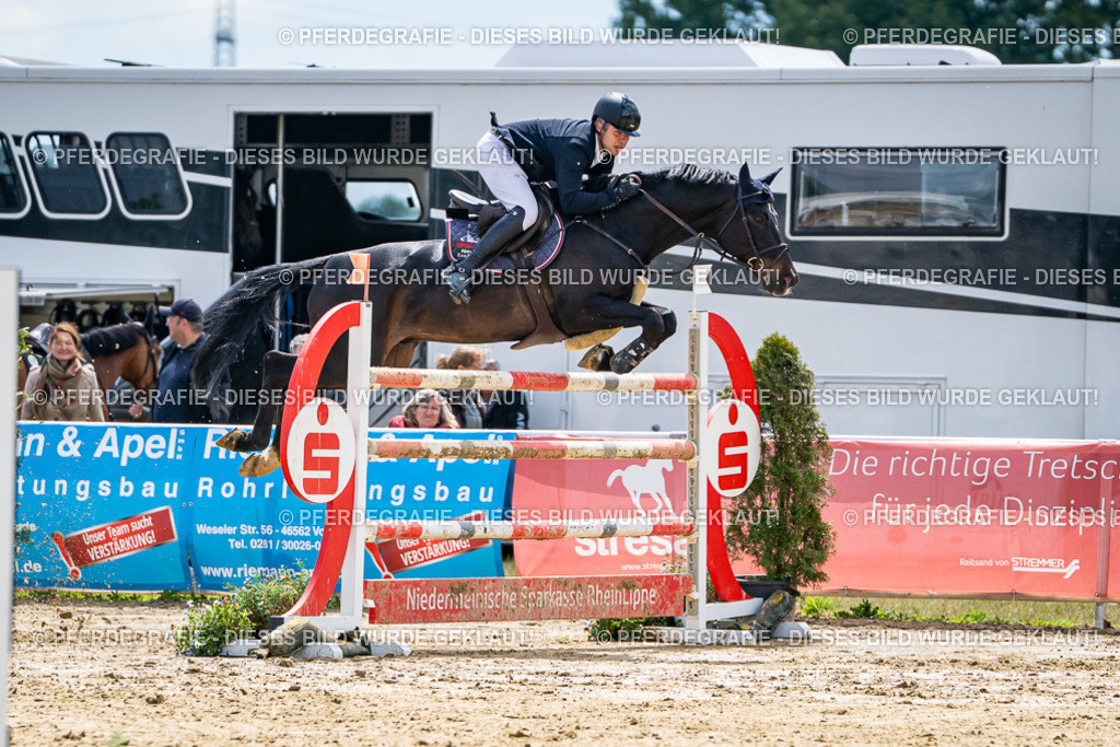 DSC05678 | Pferdegrafie