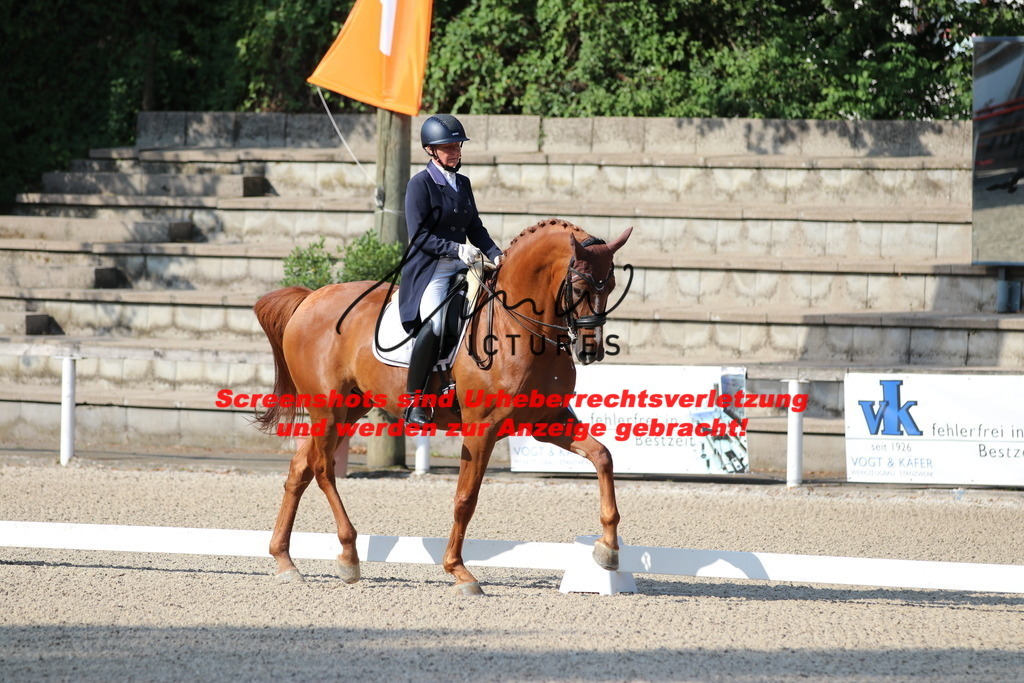 IMG_8930 | lmwpictures - Realisiert mit Pictrs.com