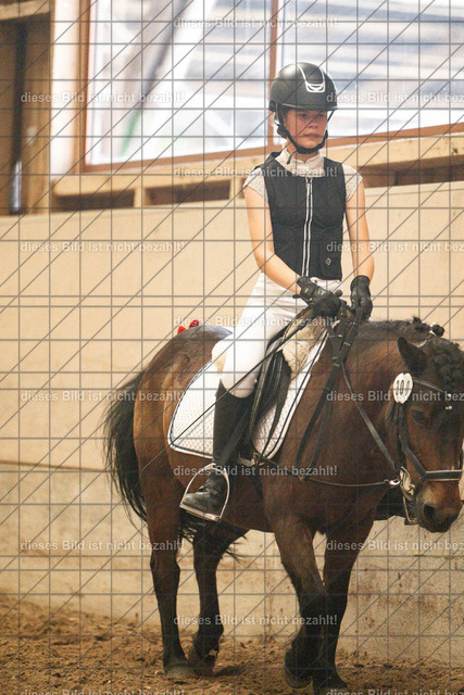 DSC_5014 | Elisabeth Schleppi - Realisiert mit Pictrs.com