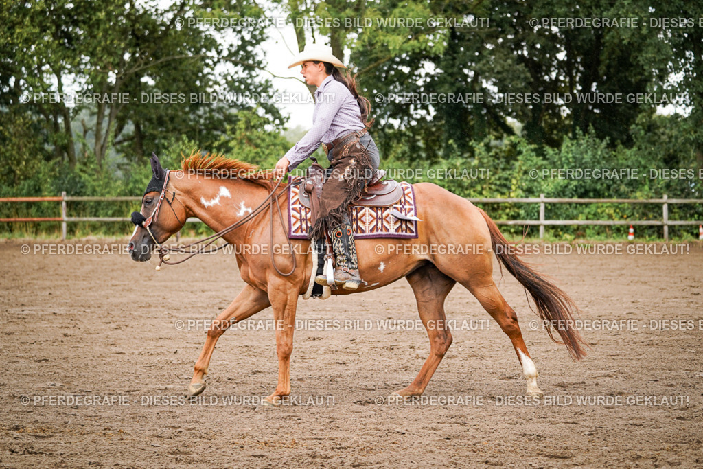 DSC08015 | Pferdegrafie