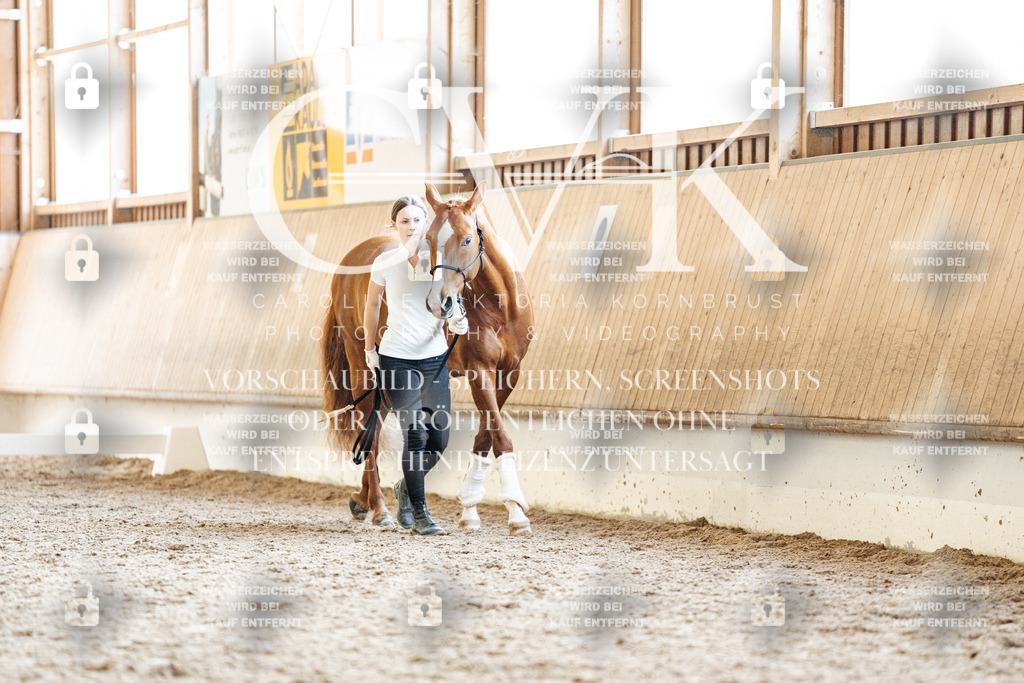 CK907654 | Turnierfotografie Pferdefotografie Trier Rheinland-Pfalz Pferdesport Reitsport Tierfotografie Sportfotografie Pferdevideo Pferdevideografie Equestrianvideography equestrianphotography  - Realisiert mit Pictrs.com