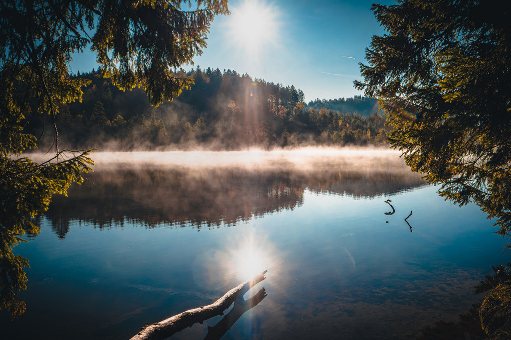 P1283958 | Bilder-Onlineshop für Heimatbilder vom Schwarzwald und Oberrhein. Galeriebilder auf Acrylglas, Alu-Dibond, Leinwand und Poster online bestellen. Der Schwarzwald als Wandbild für Ihr Zuhause! | Art, Kunst, Wandbilder, Black Forest, Deko - Realisiert mit Pictrs.com