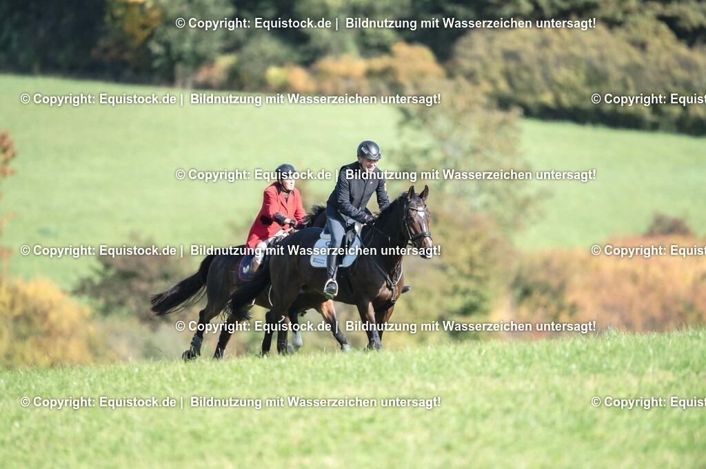 20251011_Jagd-Marbach_0346 | Foto: Thomas Hartig