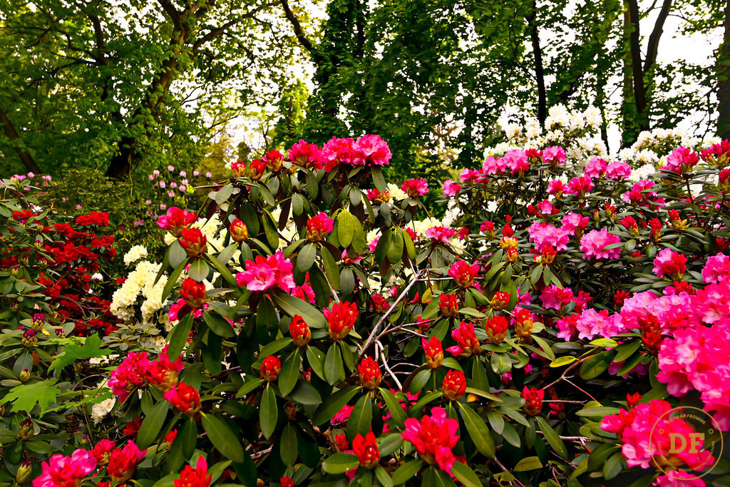 15_DSC8256 | Geschenke, Wandbilder und Accessoires mit Motiven aus Dresden und anderen schönen Orten zur Verschönerung Deines zu Hauses und zum verschenken gewünscht? Wähle Deine Lieblingsbild auf dem Produkt Deiner Wahl. 