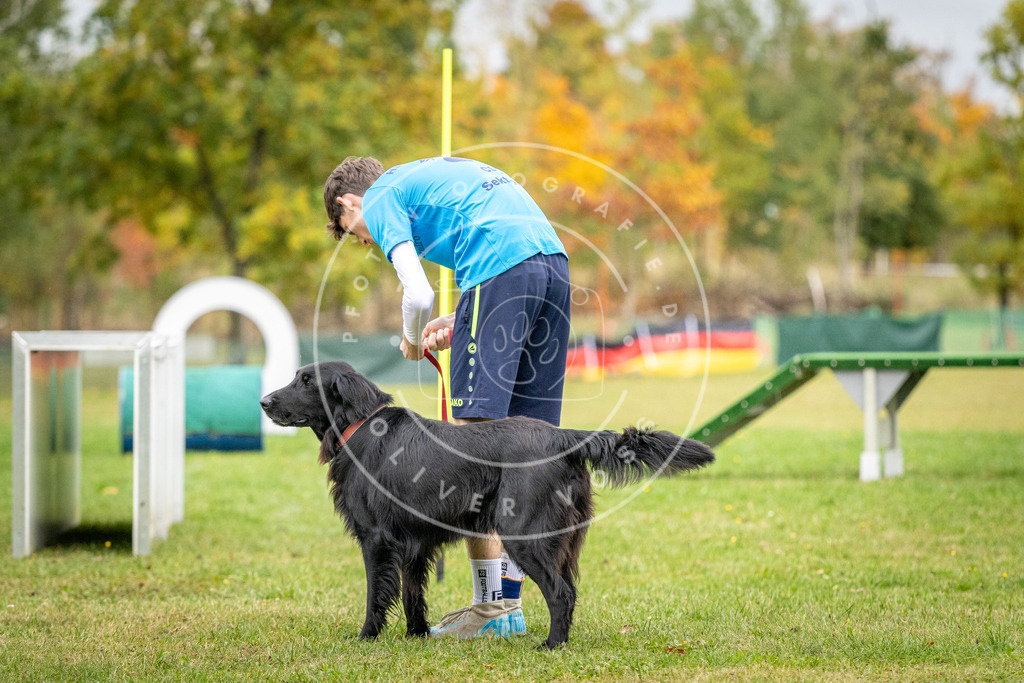 Pfotenfotografie_DV3A0582 | Hundefotografie, Tierfotograf, Pfotenfotografie, Fotoshooting Hund, Hunde Portrait, Hundesport, Hundeportraits, Heideshooting, Hunde, Sportfotograf, Hundefotograf, Turnierhundsport, THS,  - Realisiert mit Pictrs.com