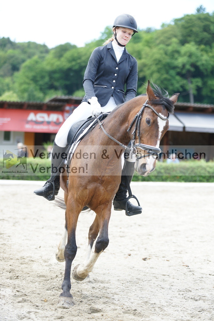 DSC05370 | equestrian-live-com