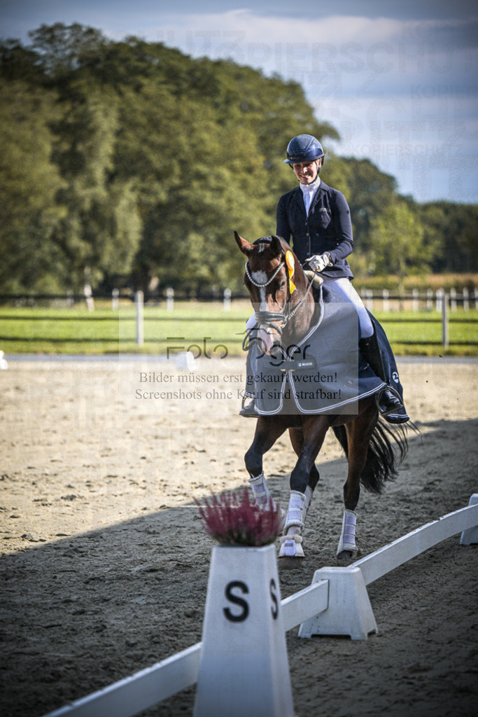 DOS_0096 | Entdecke hochwertige Reitturnierfotos von Foto Oger. Professionell, emotional und authentisch – jetzt Lieblingsmomente im Shop bestellen.Deutschlandweite Turnierfotografie. - Realisiert mit Pictrs.com