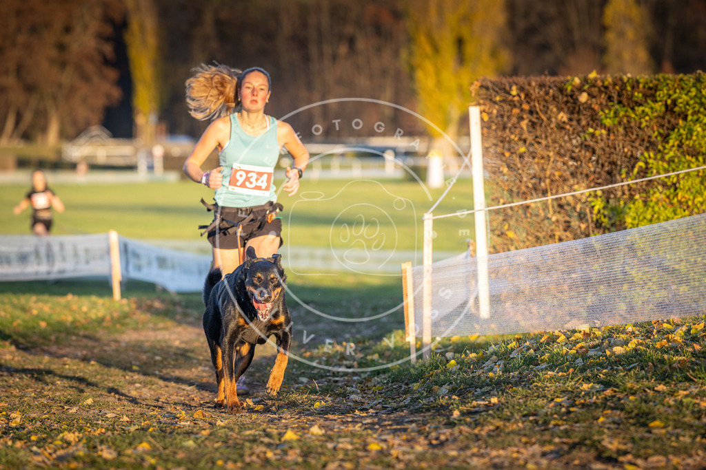 CaniXpix_DV3A5197 | Hundefotografie, Tierfotograf, Pfotenfotografie, Fotoshooting Hund, Hunde Portrait, Hundesport, Hundeportraits, Heideshooting, Hunde, Sportfotograf, Hundefotograf, Turnierhundsport, THS,  - Realisiert mit Pictrs.com