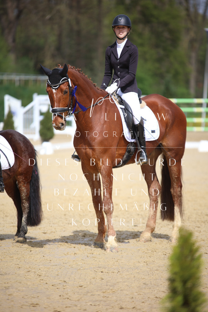 IMGT4388 | pl-fotografie