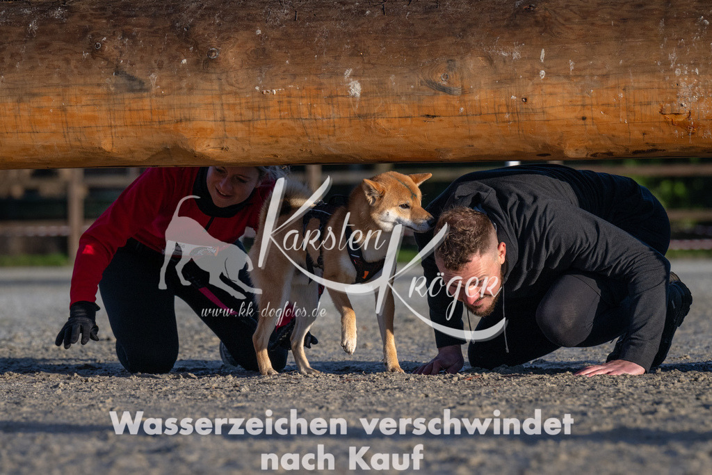 0913-92986 | kk-dogfotos