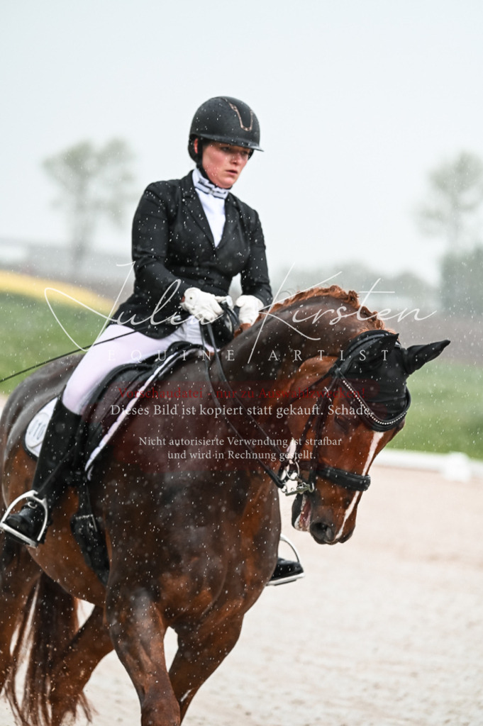 DSC_4095 | Pferde- und Turnierfotografie in Westsachsen. Pferdeportraits, Auftragszeichnungen und intuitive Kunst.