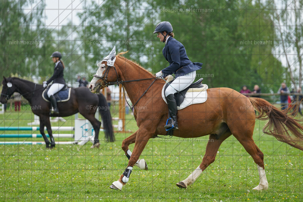 20240509-FAH02411 | Turnierbilder der Turnierfotografen Bayern, Pferdesport Fotografie, Reitsportbilder, Turnier Landberg am Lech, Turnierbilder bayern, Fotoagentur Herrmann