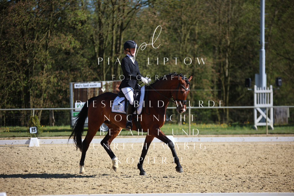 IMGT8919 | pl-fotografie