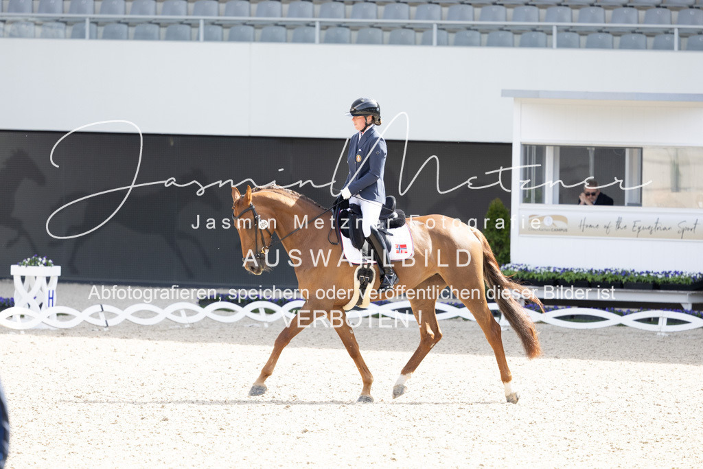 126A0393 | jasminmetznerfotografie