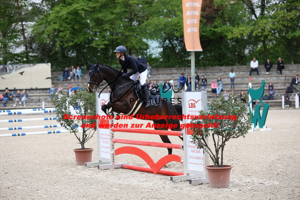 A40A4543 | lmwpictures - Realisiert mit Pictrs.com