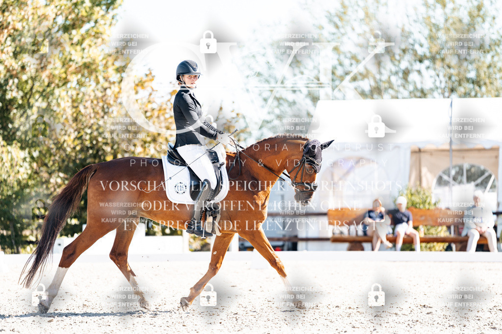 CK909133 | Turnierfotografie Pferdefotografie Trier Rheinland-Pfalz Pferdesport Reitsport Tierfotografie Sportfotografie Pferdevideo Pferdevideografie Equestrianvideography equestrianphotography  - Realisiert mit Pictrs.com