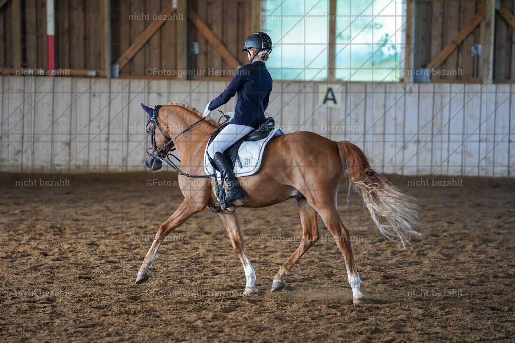 20230916-FAH08601 | Landsberg am Lech 2023, Turnierbildern, Turnierbilder Bayern, Reitsportfotograf, Pferdefotograf Bayern, Turnierfotos Landsberg, Fotoagentur Herrmann, Turnierfotografen Bayern