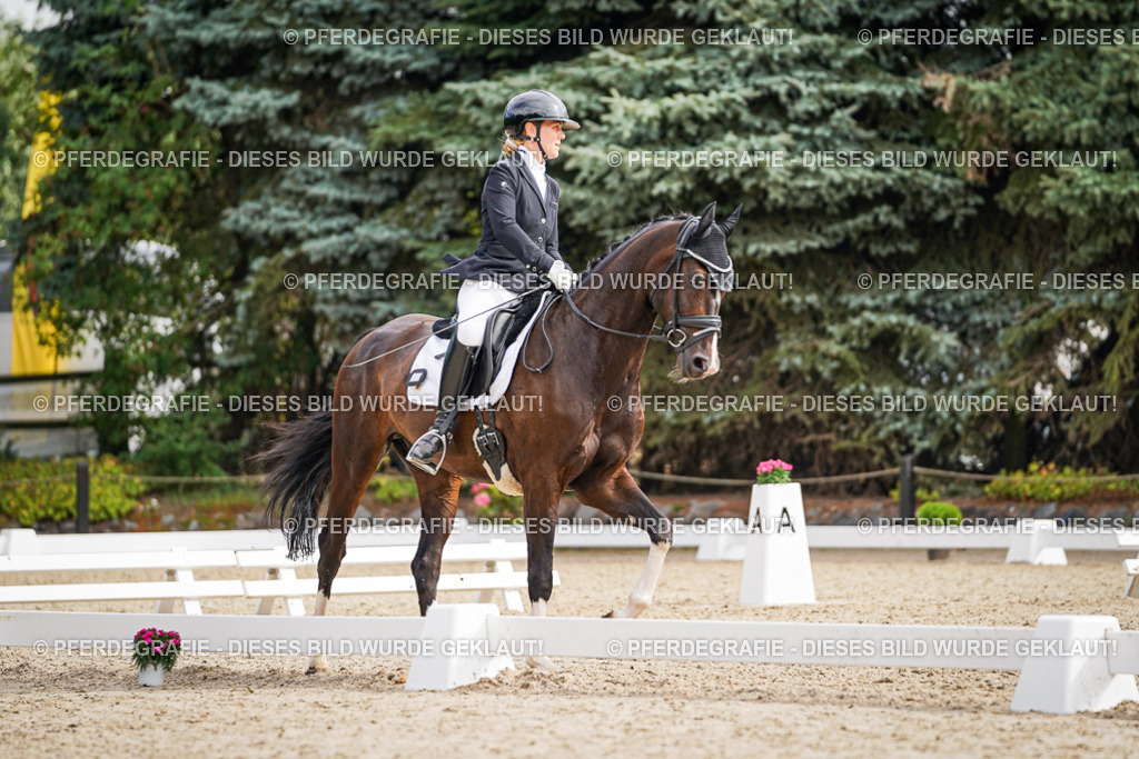 DSC01689 | Pferdegrafie