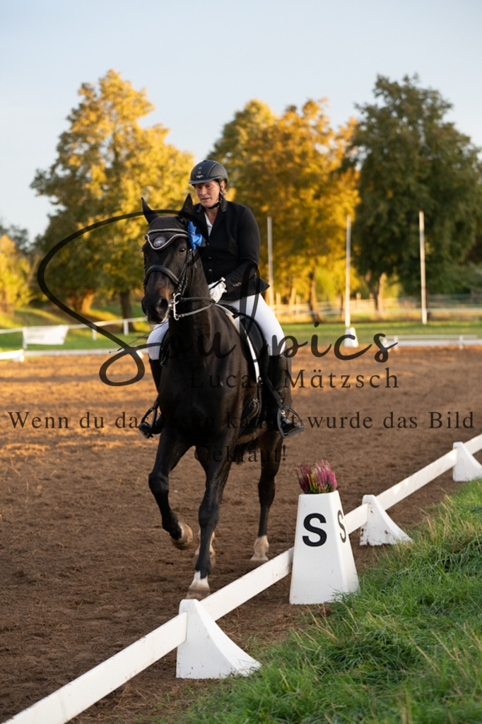 A7V06187 | Pferdefotograf