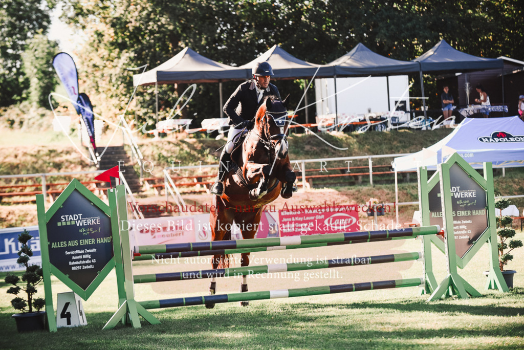DSC_2204 | Pferde- und Turnierfotografie in Westsachsen. Pferdeportraits, Auftragszeichnungen und intuitive Kunst.