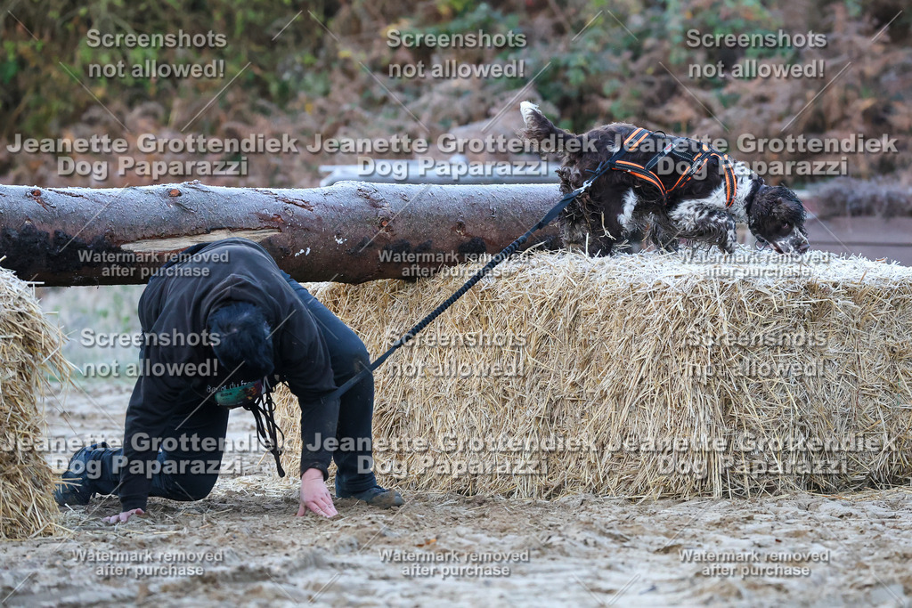 Dog Paparazzi - Strongdog 10-25-150 | Dog Paparazzi Jeanette Grottendiek Fotografie & Videografie - Realisiert mit Pictrs.com