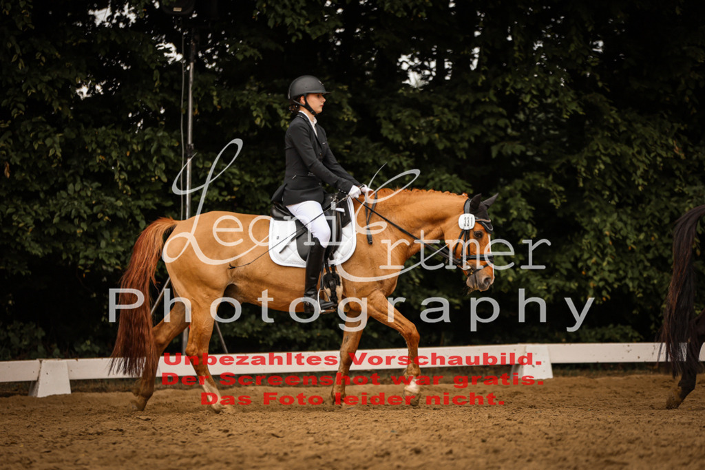 DoDrE00427 | Leoni Ertmer Photography - Realisiert mit Pictrs.com