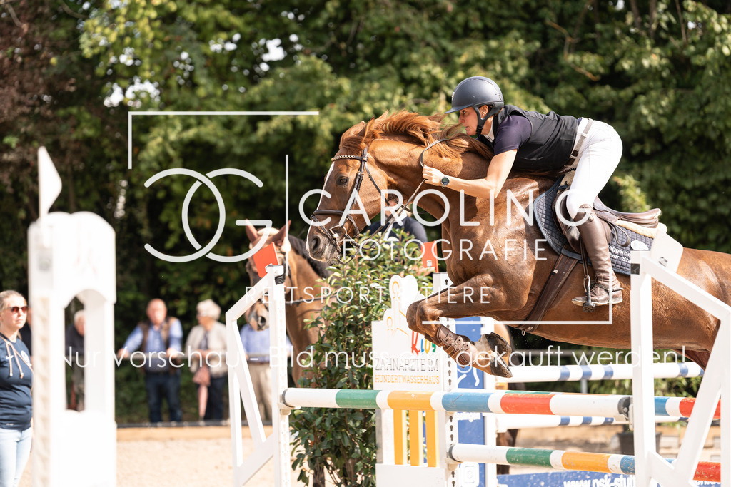 DSC02622 | Carolin Gieschke