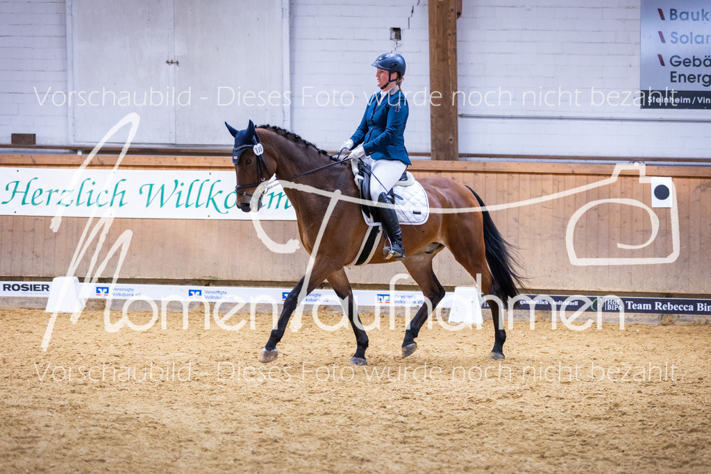 Sth-A-Dre-2St-093 | MomenTaufnahmen Pferdesportfotos