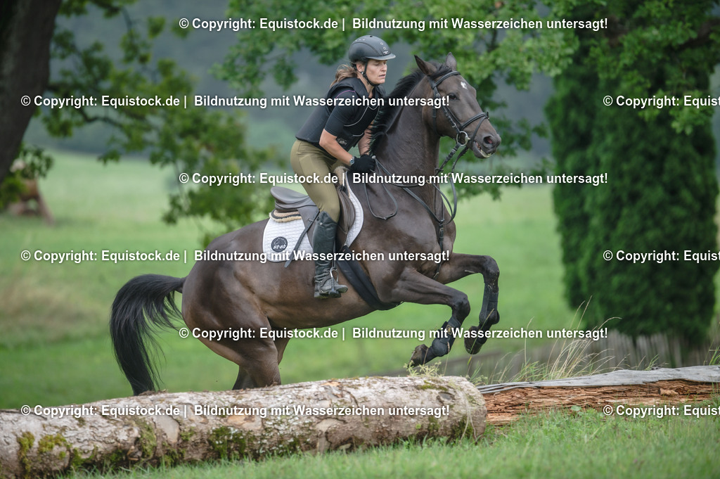 20250726_Vielseitigkeitslehrgang-Marbach_0369 | Foto: Thomas Hartig