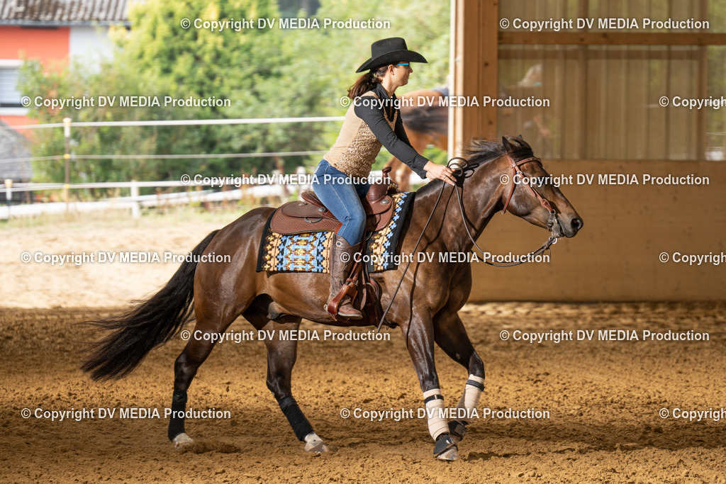 LAU01489 | dv-media-shop - Realisiert mit Pictrs.com