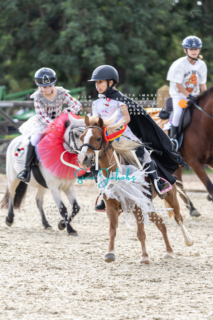 IMG_2425 | s-jay-photography - Realisiert mit Pictrs.com