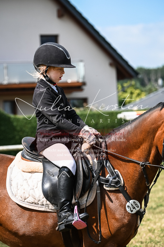 DSC_8508 | Pferde- und Turnierfotografie in Westsachsen. Pferdeportraits, Auftragszeichnungen und intuitive Kunst.