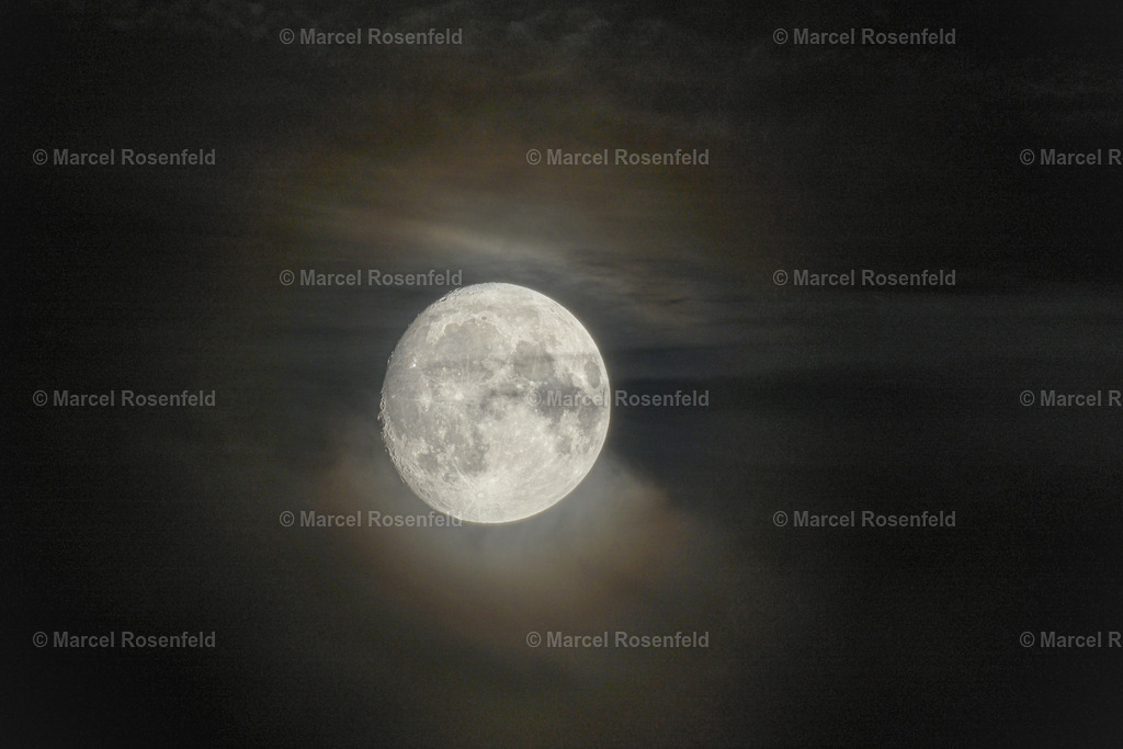 _DSC2473 (1) | foto-rosenfeld