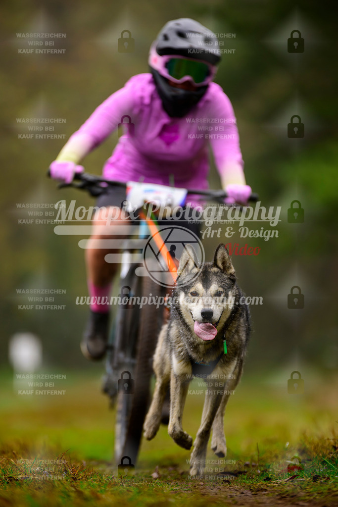 MompixPhotography_Bischwiller2025_Bike-85 | mompixphotography