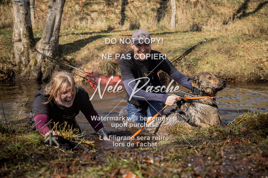nelerasche_FS1230-1300_18 | nelerasche