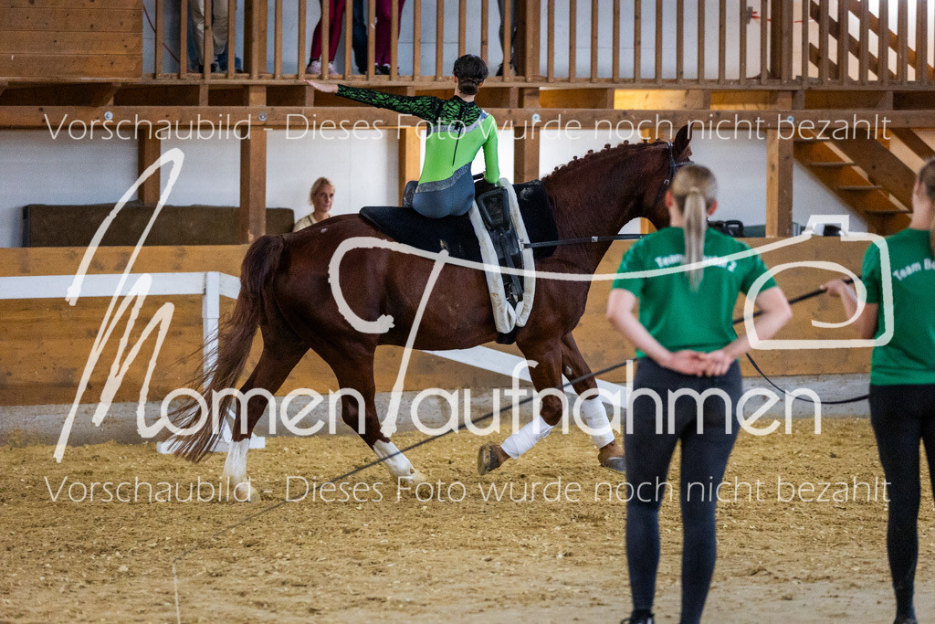 Einzel-094 | MomenTaufnahmen Pferdesportfotos