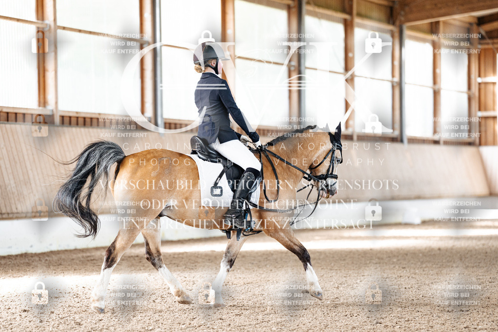 CK909170 | Turnierfotografie Pferdefotografie Trier Rheinland-Pfalz Pferdesport Reitsport Tierfotografie Sportfotografie Pferdevideo Pferdevideografie Equestrianvideography equestrianphotography  - Realized with Pictrs.com