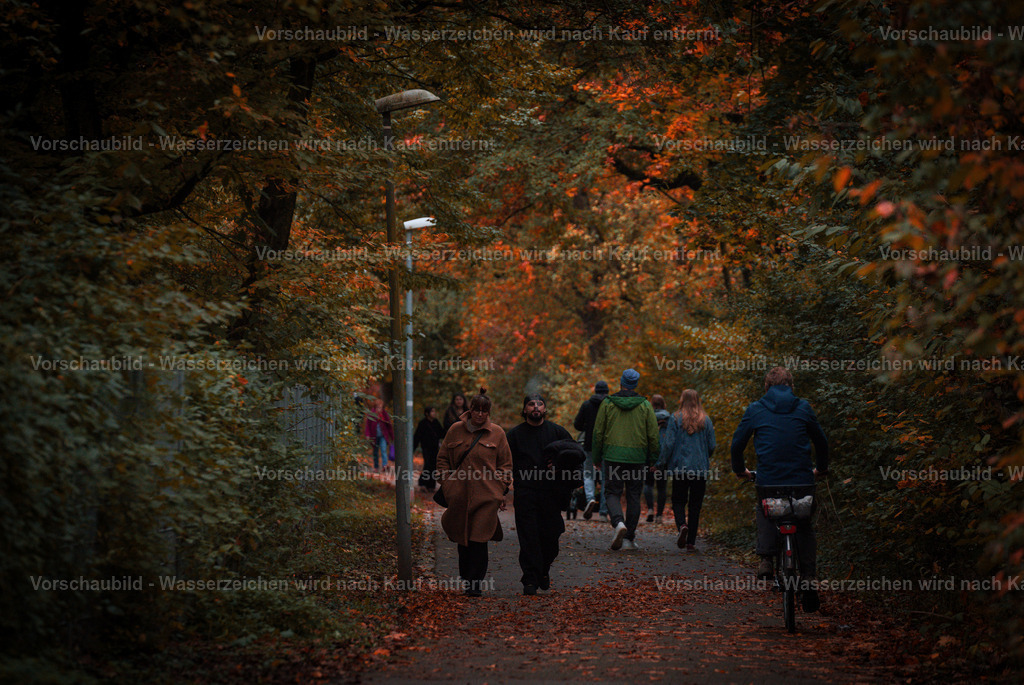 DSC05433 | marcuslinek