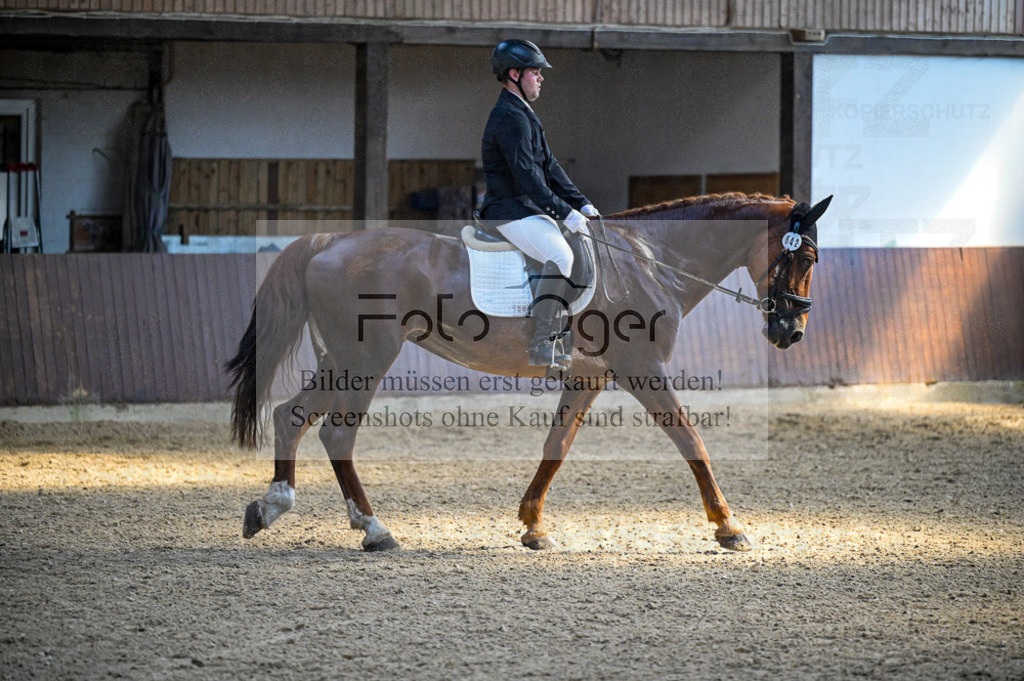 Reitturnier Voxtrup | Entdecke hochwertige Reitturnierfotos von Foto Oger. Professionell, emotional und authentisch – jetzt Lieblingsmomente im Shop bestellen.Deutschlandweite Turnierfotografie. - Realisiert mit Pictrs.com