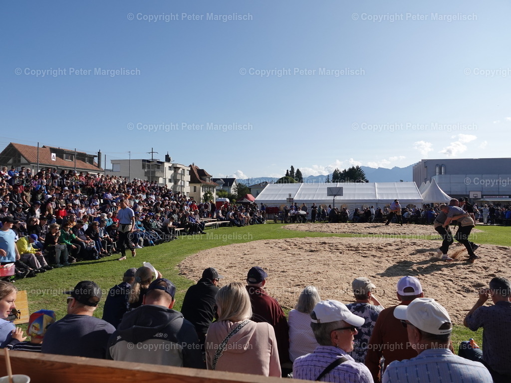 DSC05560 | Schwingen - Realisiert mit Pictrs.com