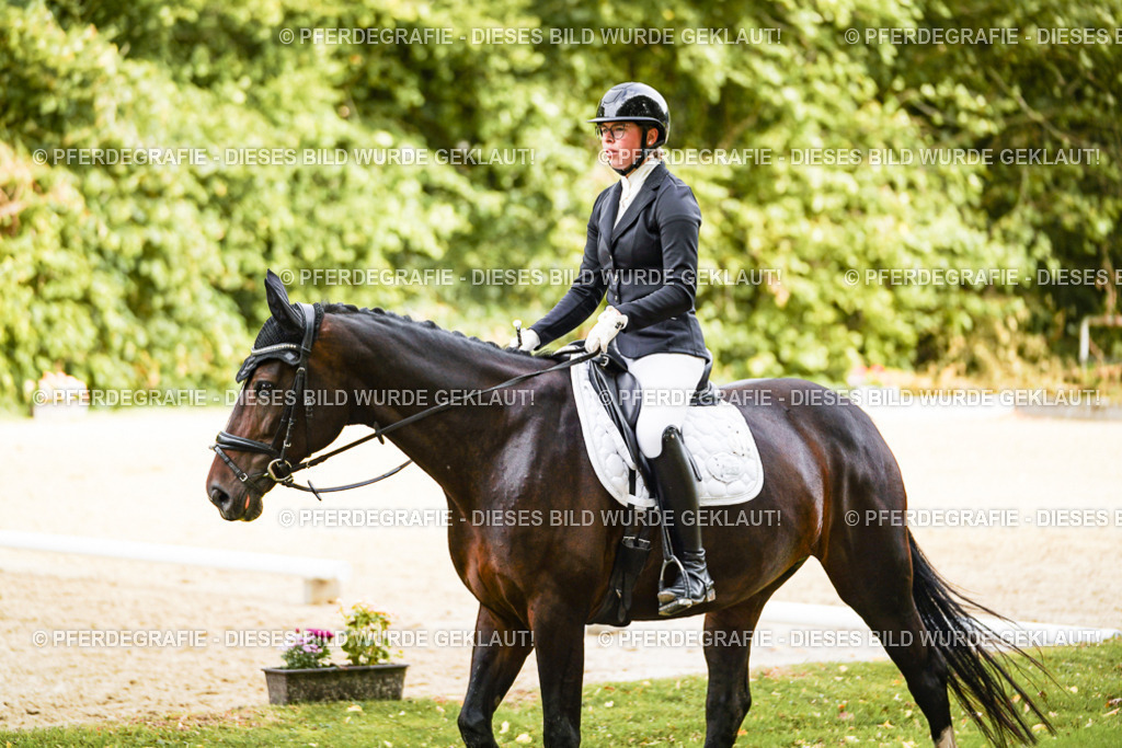 DSC09777 | Pferdegrafie