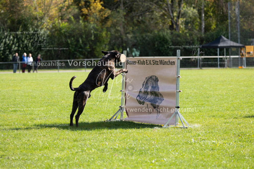 _16A6839 | Einzigartige Fotos von Hunden & Menschen –Actionfotos, Portraits, Vereinsaufnahmen & Paarshootings – authentisch, lebendig & mit Herz.
